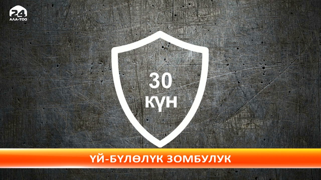 Үй-бүлөлүк зомбулук боюнча жаңы мыйзам
