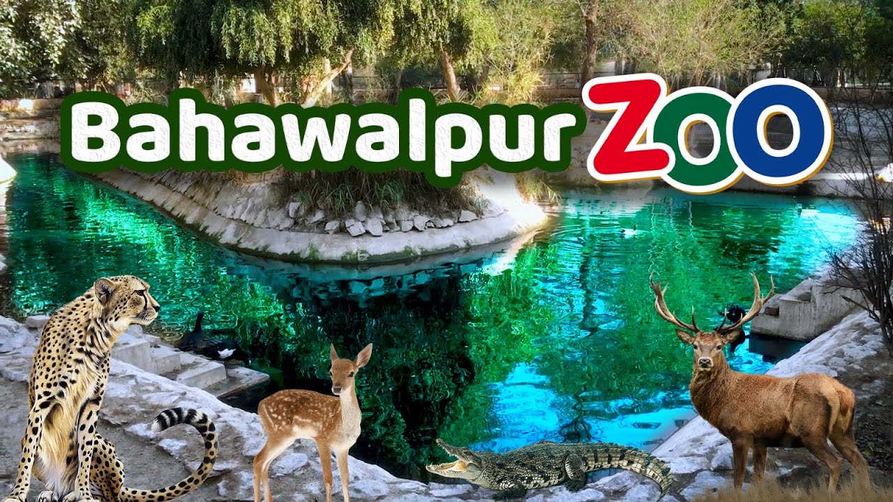 Bahawalpur | Zoo |Punjab | Pakistan | Zubair Sheikh |