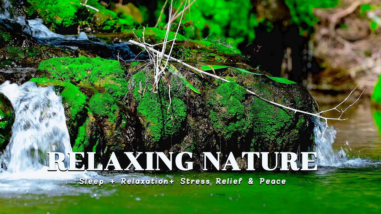 🌿 LIVE Waterfall Nature Sounds | Relaxing Stream for Stress Relief & Peace 💧