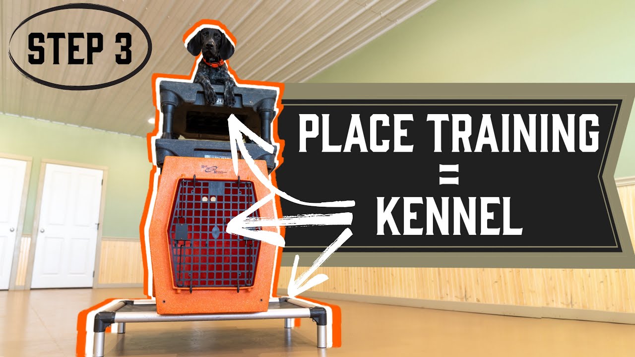 Teach Your Dog To Go To Place Anywhere - Step 3