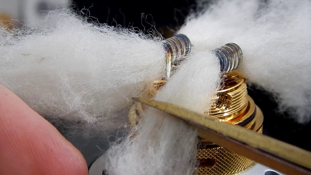 PETRI 24mm RTA by DOTMOD