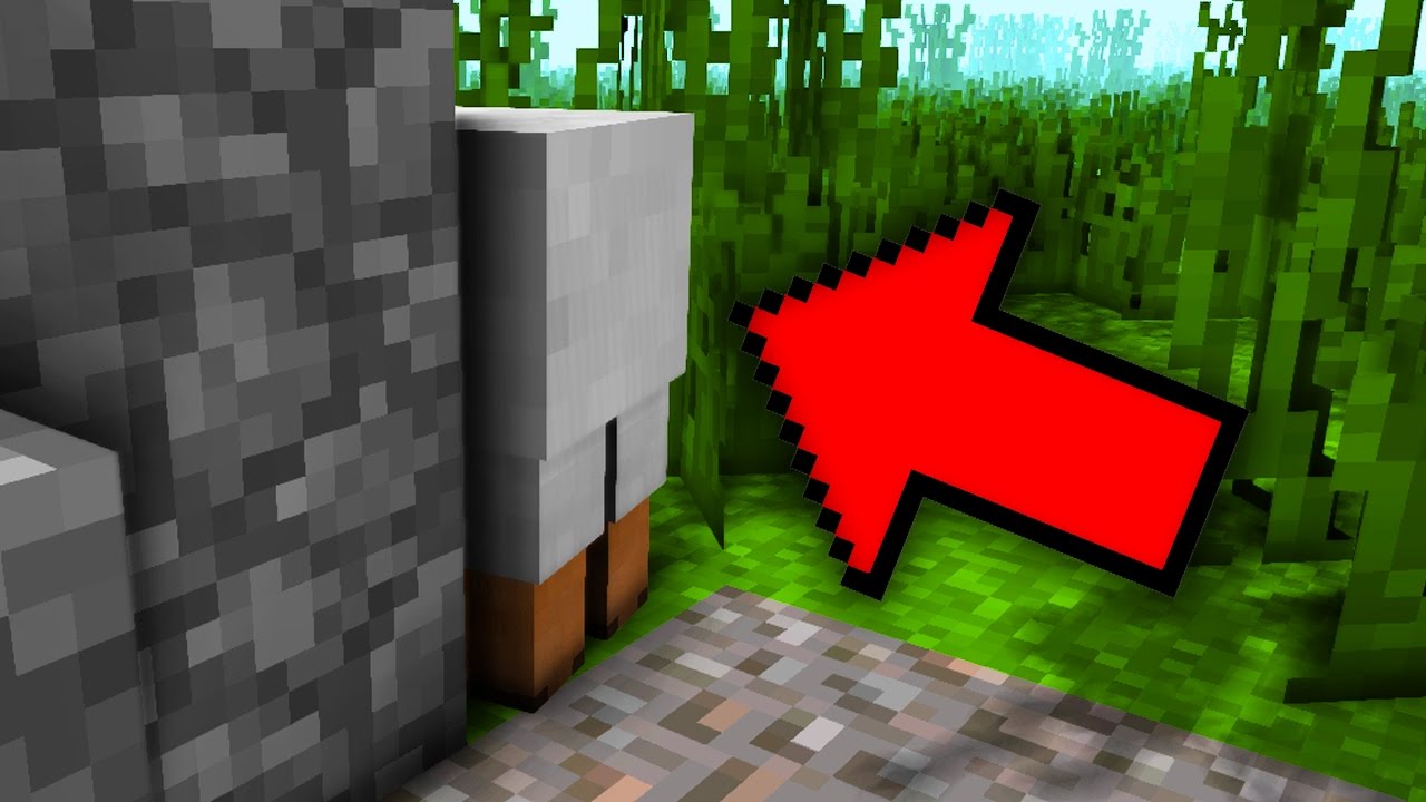 MINECRAFT: GDZIE JEST OWCA?