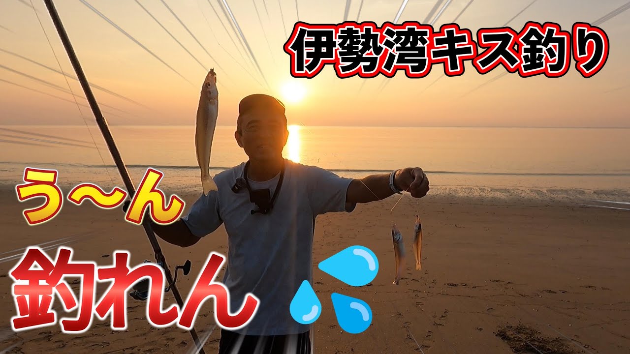 またまたキス釣りです(笑)