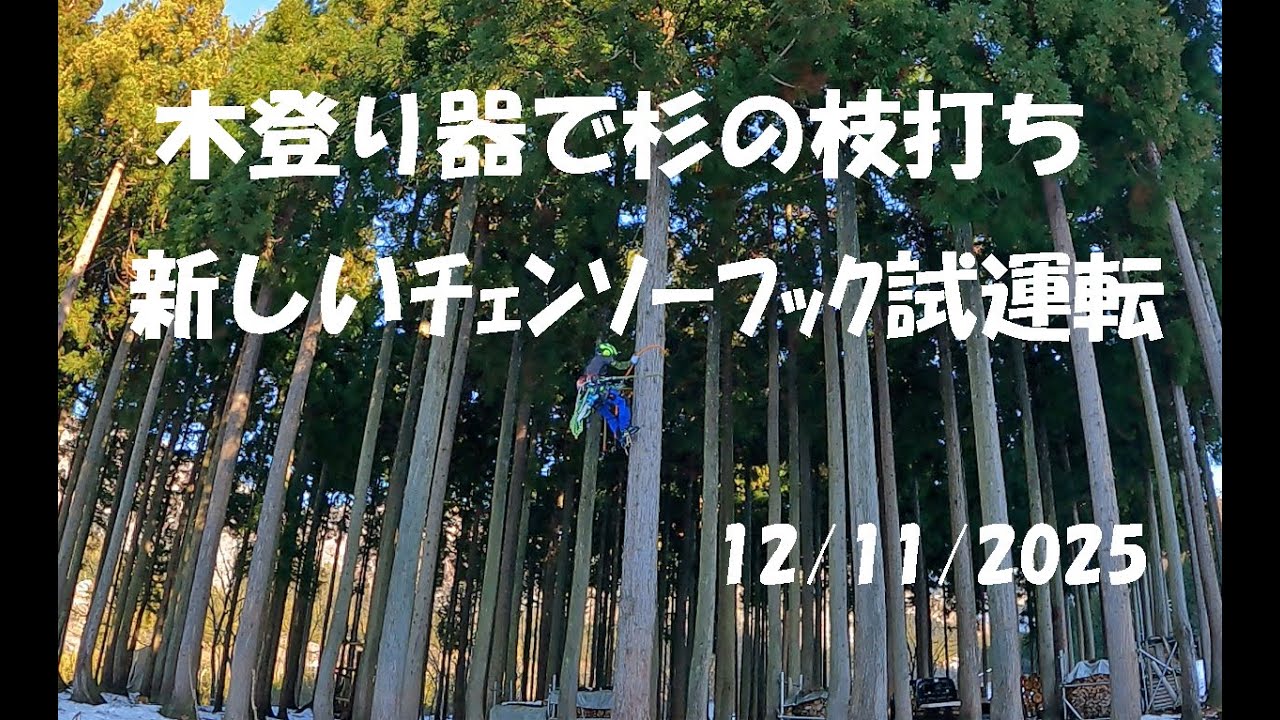 マキタハンディーソーフック取付枝打ち試運転：大源太農園20251211