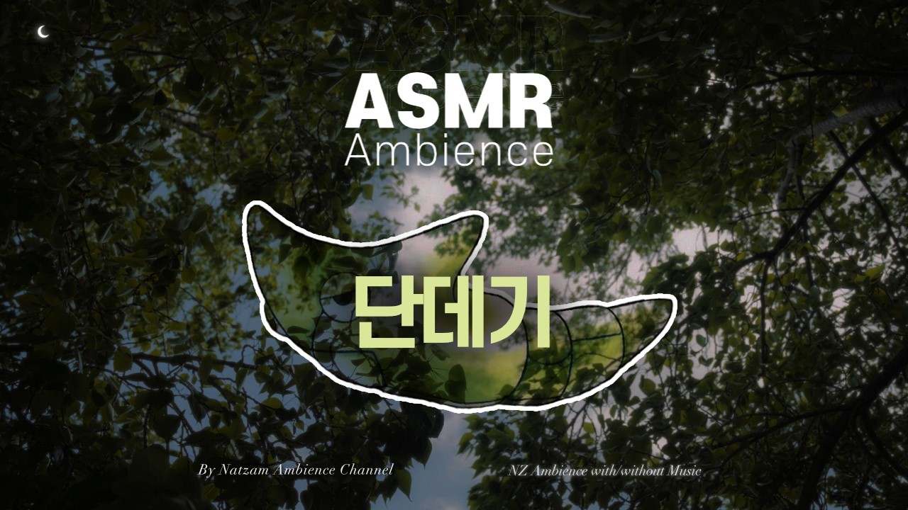 움직임이 적은 것은 진화 준비를 하고 있어서다.🌙단데기 ASMR