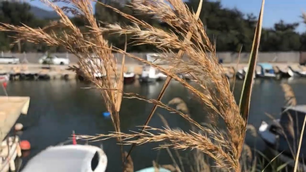 İzmir'in Güzel Sahil Beldesi Gümüldür