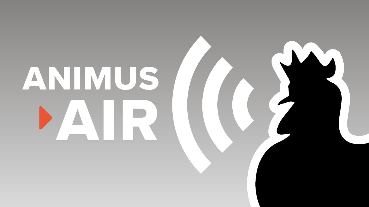 Animus Air 301: Your Myth