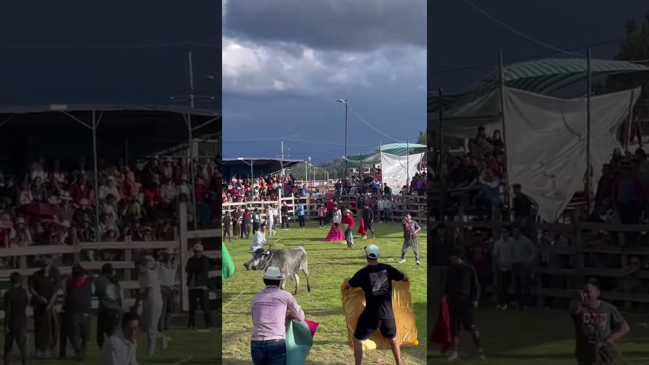 Cornadas a toreros #banda #toros #rodeomontubio