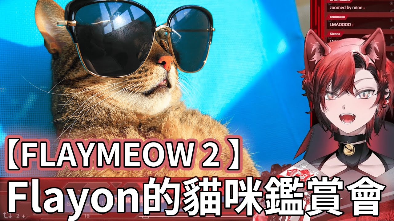 【Machina X Flayon】Flayon的貓咪鑑賞會之怎麼有奇怪的傢伙亂入 ft.HakkaMeow與FalyMeow【holostarsEN/齁星中英雙字】