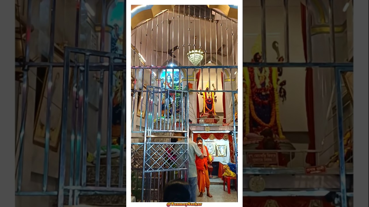 A Divine Evening 🙏 | Sandhya Arati At Sri Sri Dayamoyee Kali Mandir Jadavpur #shorts #maakali #maa