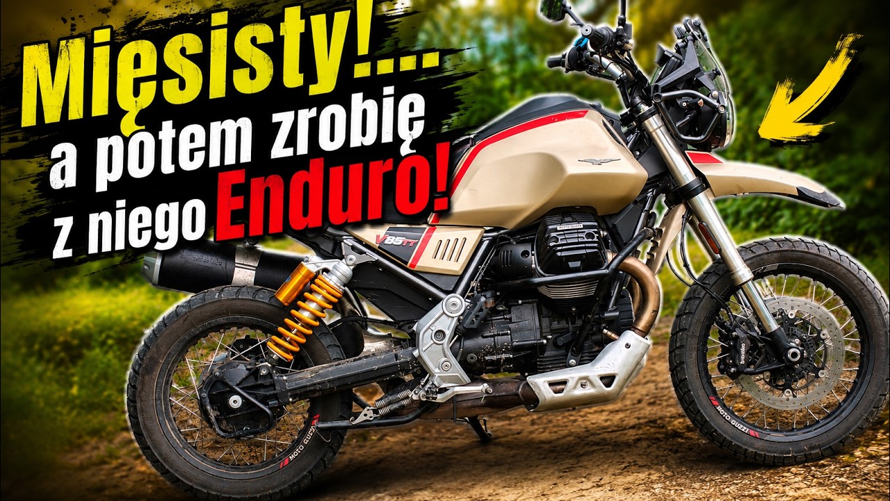 Poznajcie GUZIKA!  - V85 TT ... zanim go potnę!