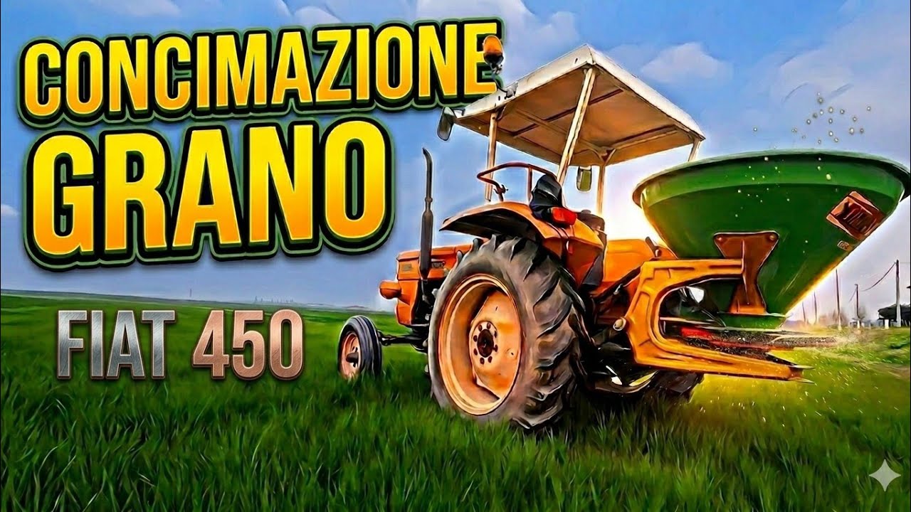 Concimazione del grano con trattori Fiat