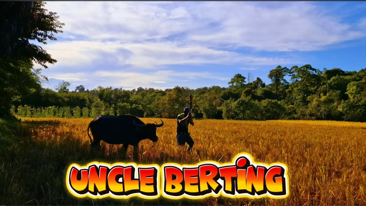 Uncle Berting by Aliah Mae Alberva Lazo...#TagaDivilacanAko #Divilacan #fypシ #fyp 