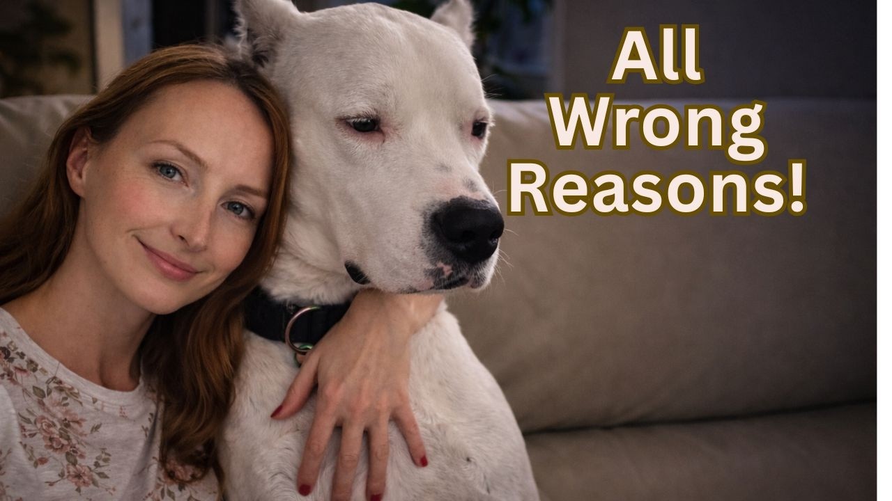 The Real Reason Why I Picked a Dogo Argentino Over Other Breeds