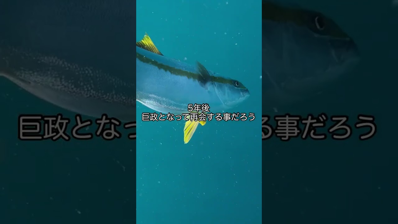 これはやめられないwwww