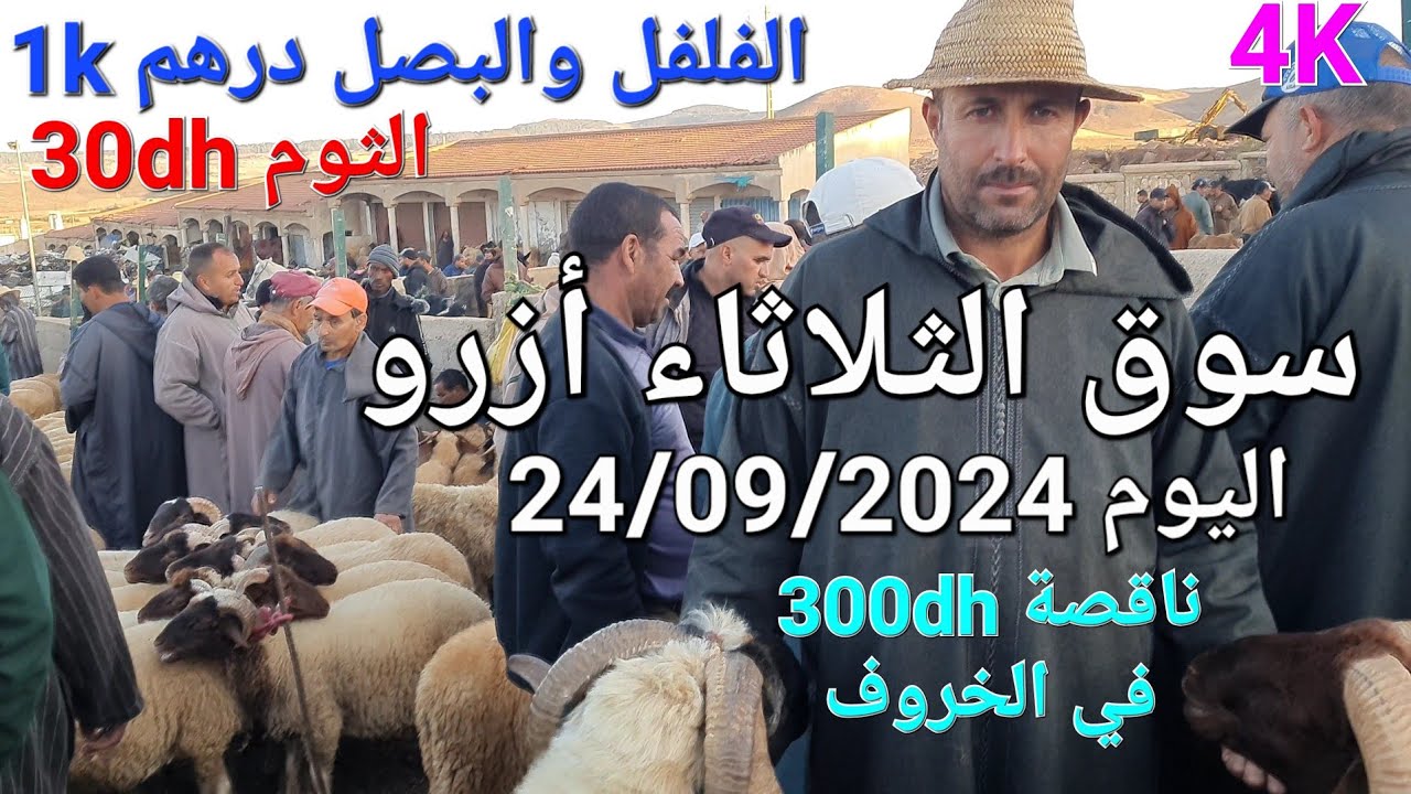 أثمنة البقر والغنم والماعز والدجاج والخضر سوق الثلاثاء أزرو اليوم 24/09/2024