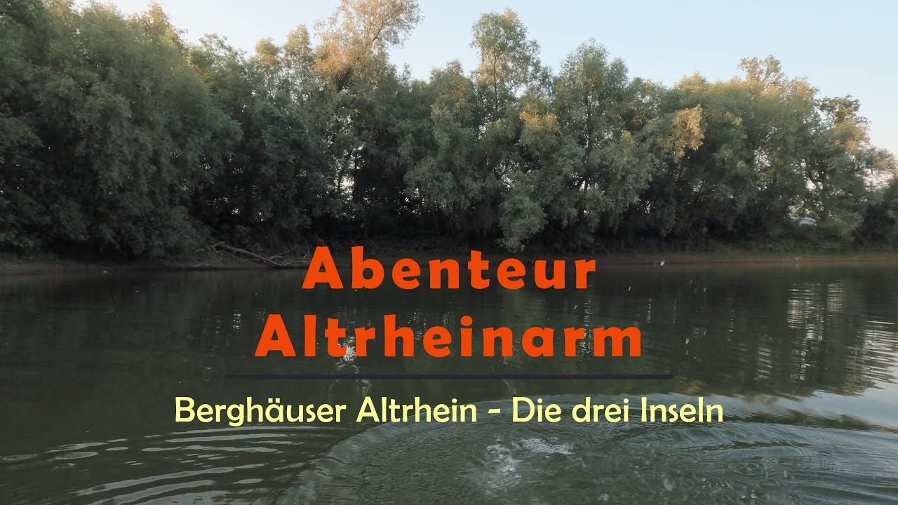 Abenteuer Altrheinarm: Bergh&auml;user Altrhein - Die drei Inseln