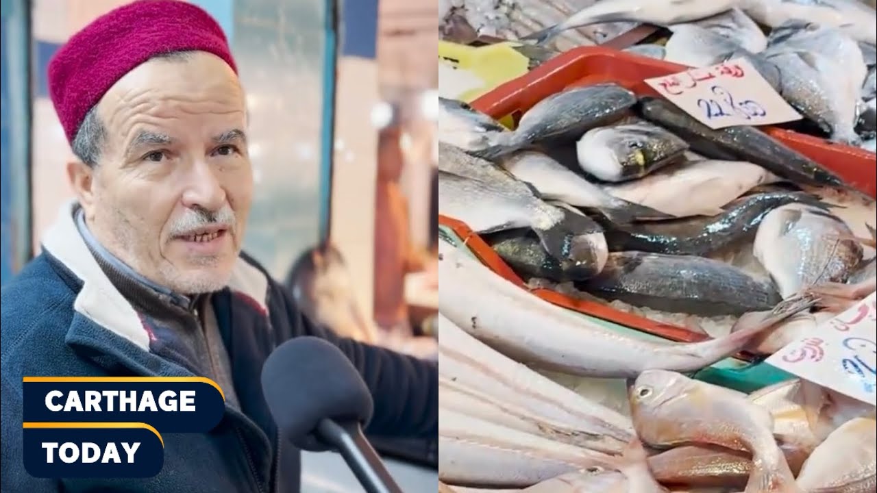 الحوت في بنزرت 🐋«كل قدير و قدرو» الأسعار الكل موجودة و انت و امكانياتك