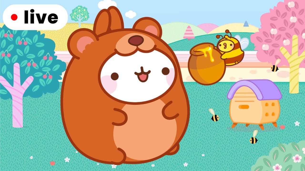 Molang and Piu Piu are tasting Delicious Honey 🐝🐻 | Live For Kids 🔴