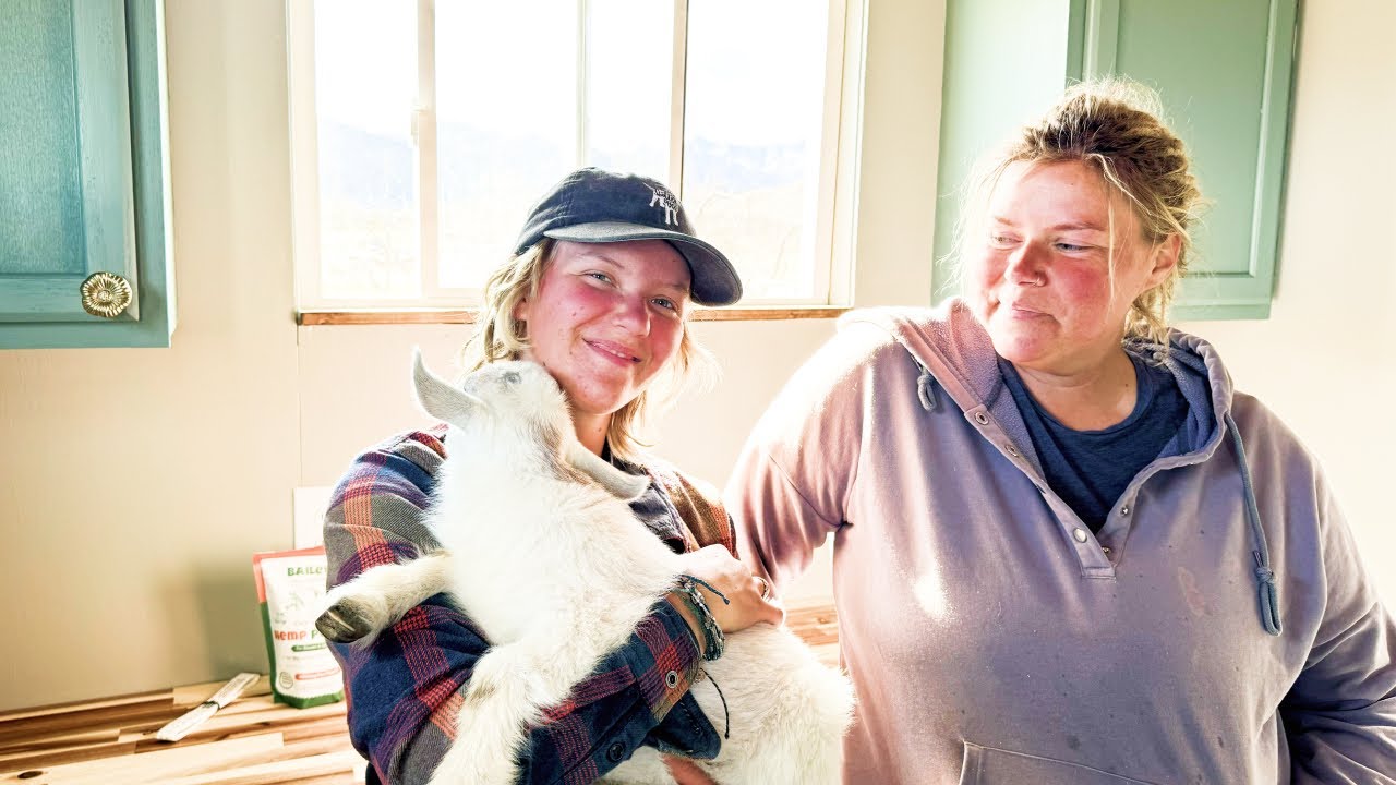 Are We FINISHED with the Goat Barn Container?