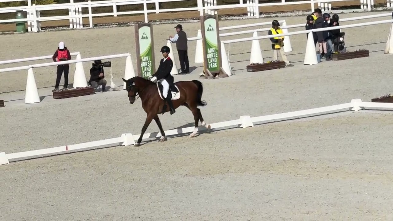 全日本学生馬術大会2025　第68回全日本学生馬術競技大会　予選　1年　上村汀　桜登