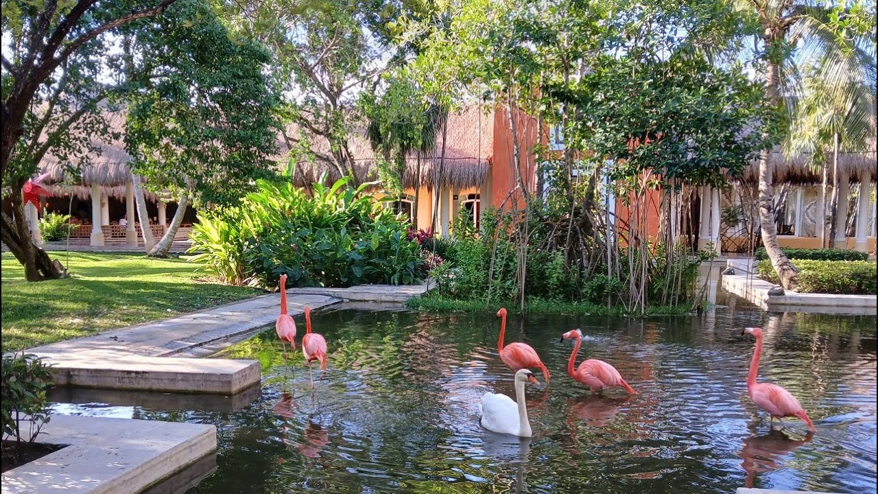 Dream vacation in Mexico: Iberostar hotel, ocean and family.