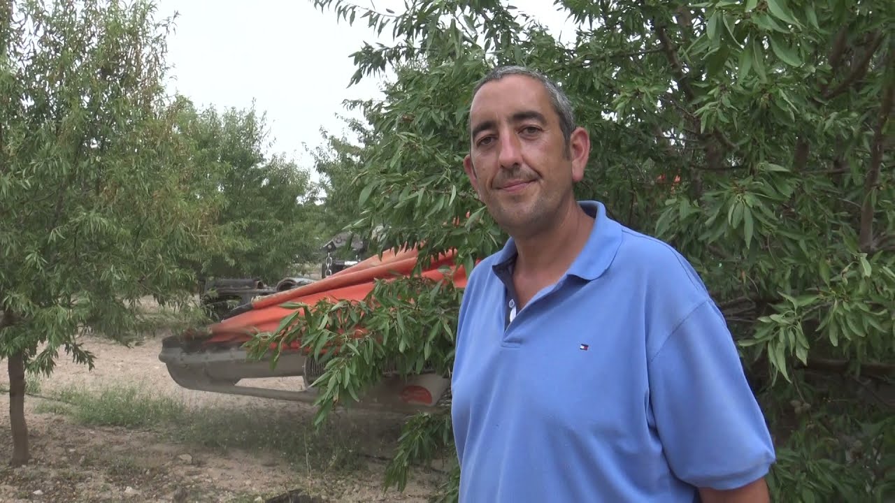 Recolección Almendro Penta 2021 Lillo (Toledo)