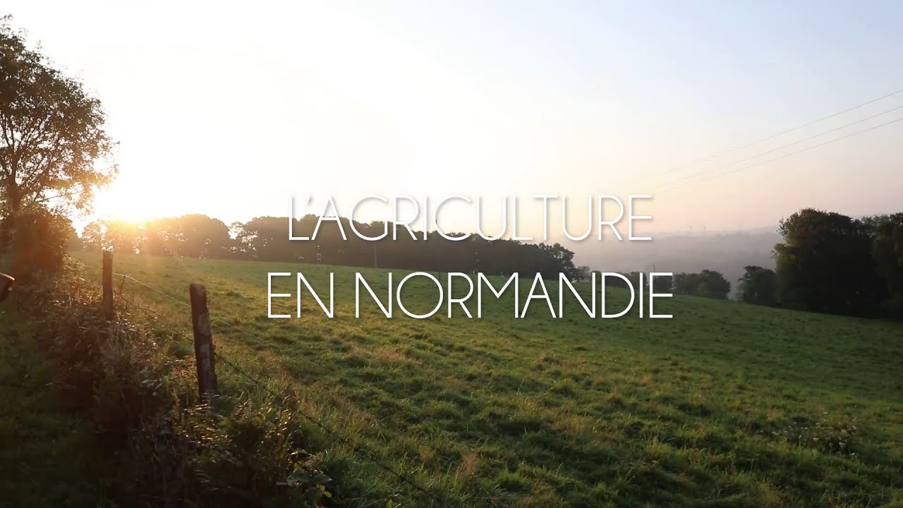 Les métiers de l'agriculture en Normandie