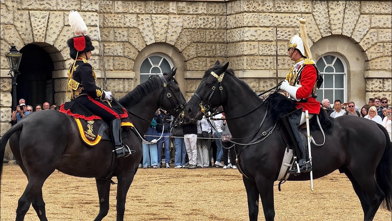 Rare Sighting: A Remarkable Moment Captured at Horse Guards Parade, London 🇬🇧 