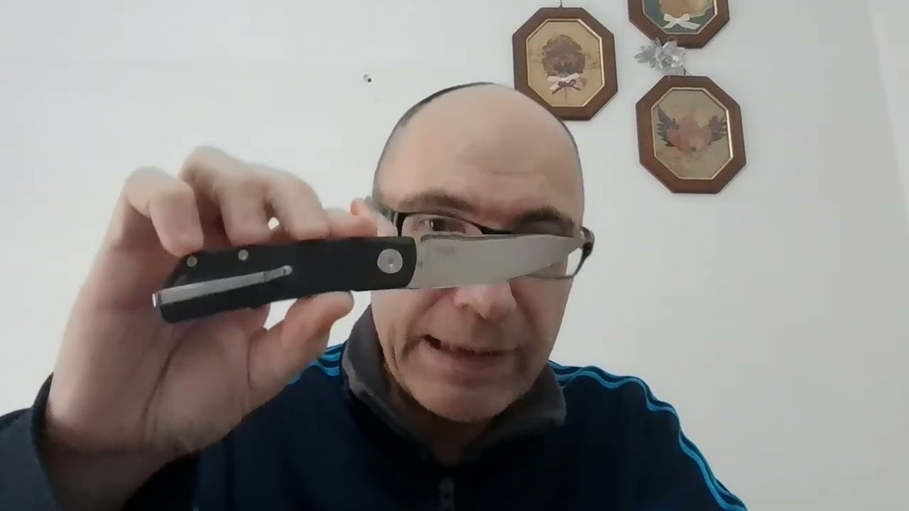Real Steel Luna phantom flipper