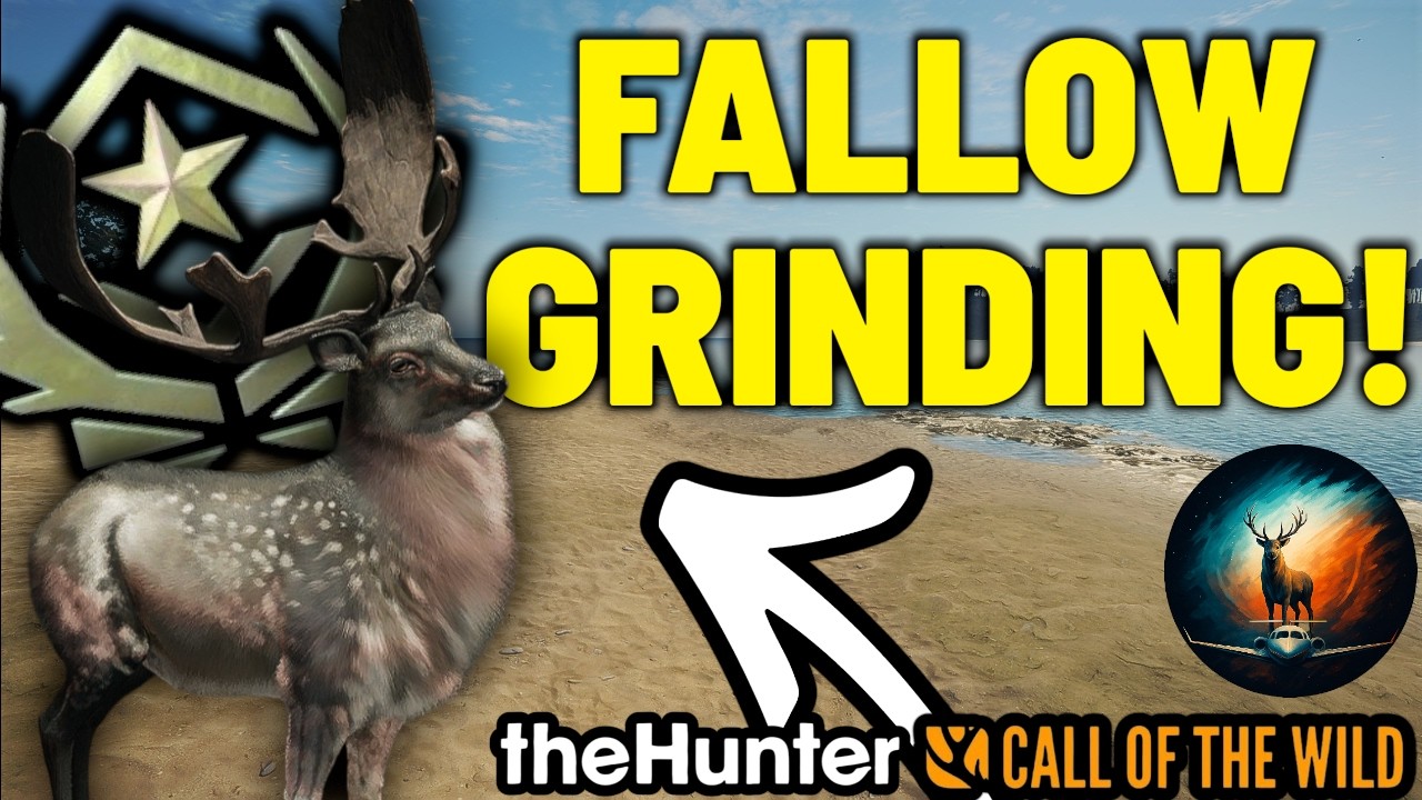 FALLOW GRINDING LIVE! | theHunter: Call of the Wild