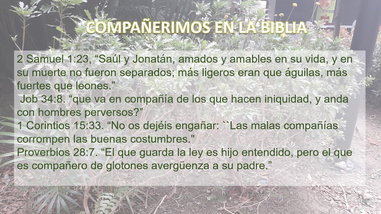 TEMA COMPA&Ntilde;ERISMO SEG&Uacute;N LA BIBLIA