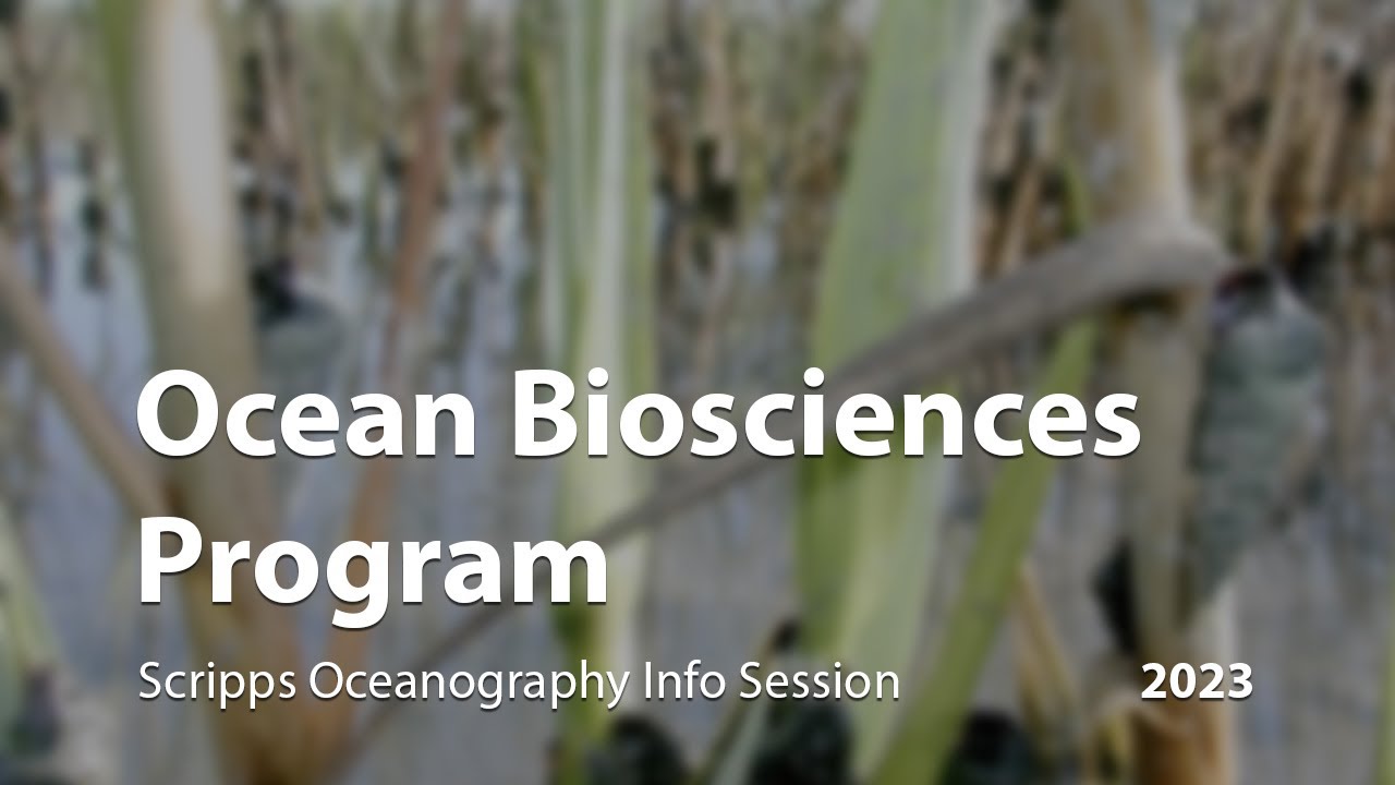 Info Session: Ocean Biosciences Program 2023