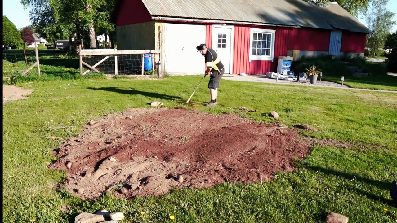 Krattar ut jorden på gräsmattan!