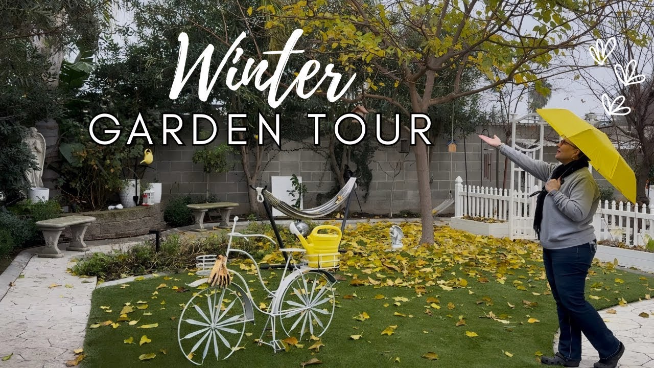 WINTER GARDEN: A Peaceful Tour of My Favorite Cold Weather Plants