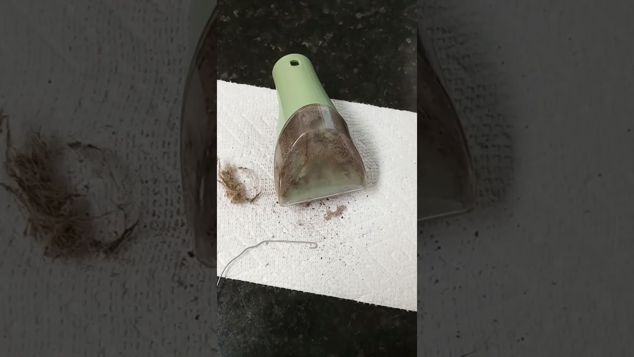 Cleaning the brush of an older model Bissell Little Green Cleaner