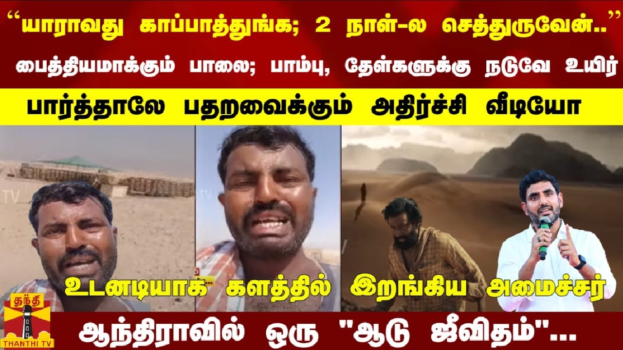 பைத்தியமாக்கும் பாலை- பார்த்தாலே பதறவைக்கும் வீடியோ - உடனடியாக களத்தில் இறங்கிய அமைச்சர்