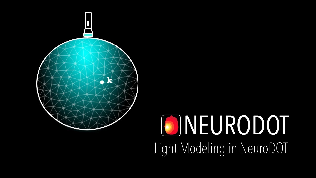 Light Modeling in NeuroDOT