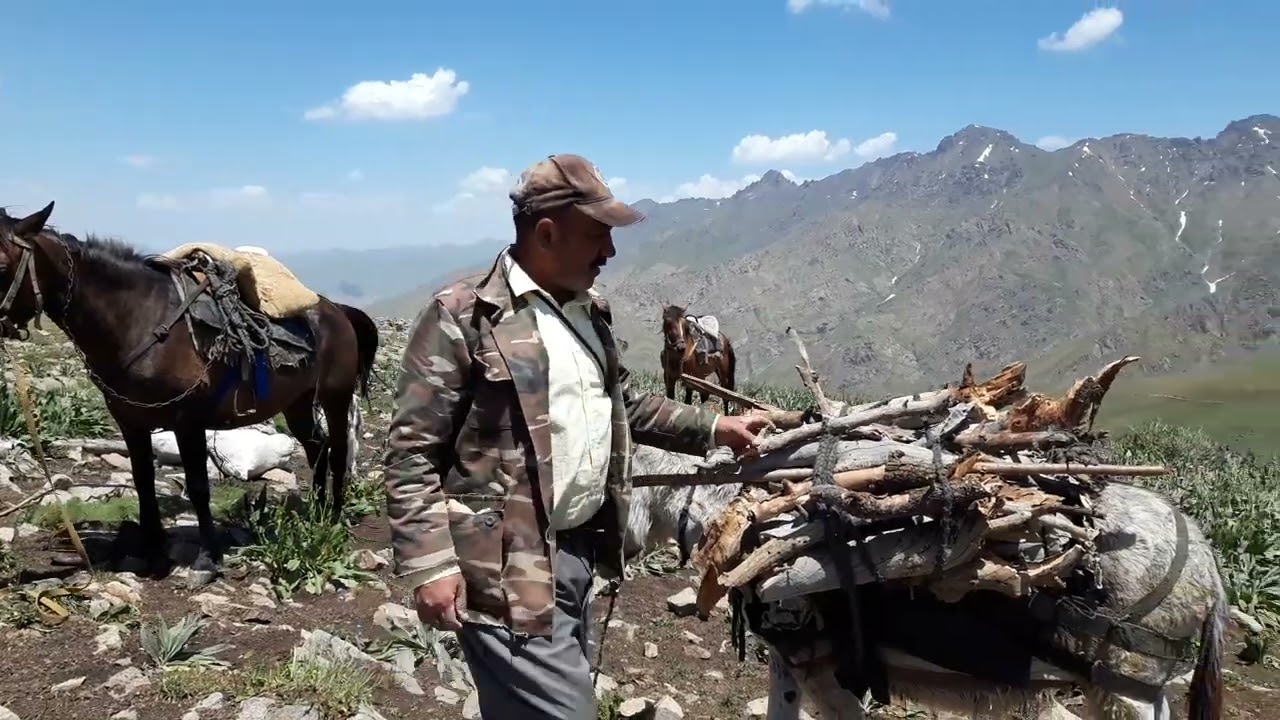 Mamed gəldi
