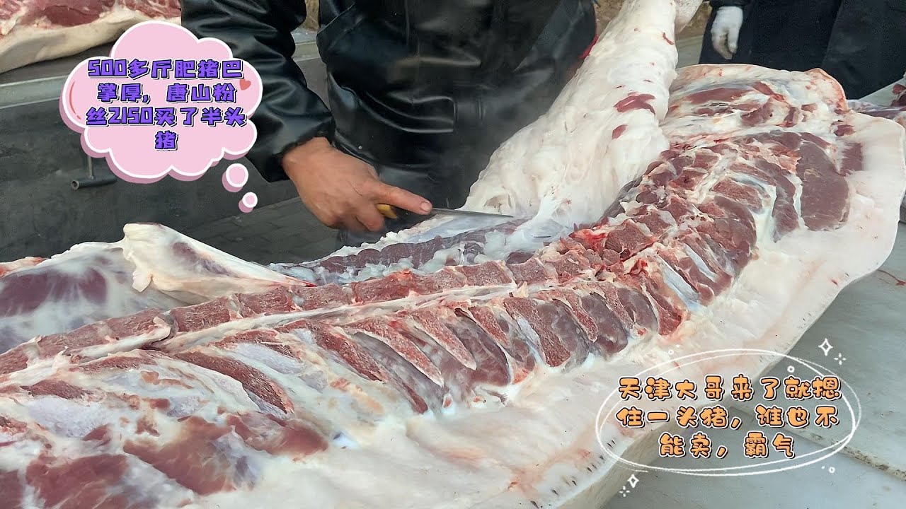 今天猪肉疯抢，大哥2150买半头猪，天津大哥直接按住一头猪，霸气#pork #猪肉 #玖叔vlog#华哥猪肉#玖叔猪肉#豬肉