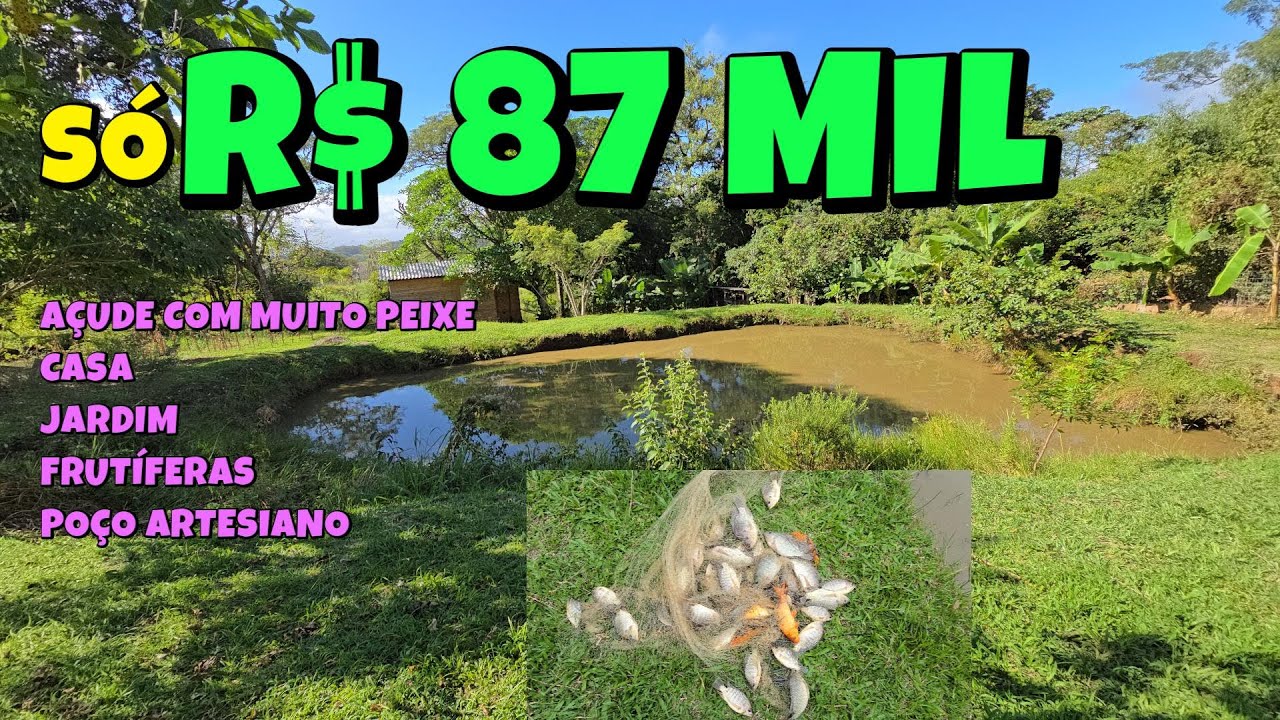 [775] CHÁCARA DO GAITEIRO NA FAZENDA FIALHO CASA, AÇUDE COM PEIXES, FRUTÍFERAS - 2048 M² - R$ 87 MIL