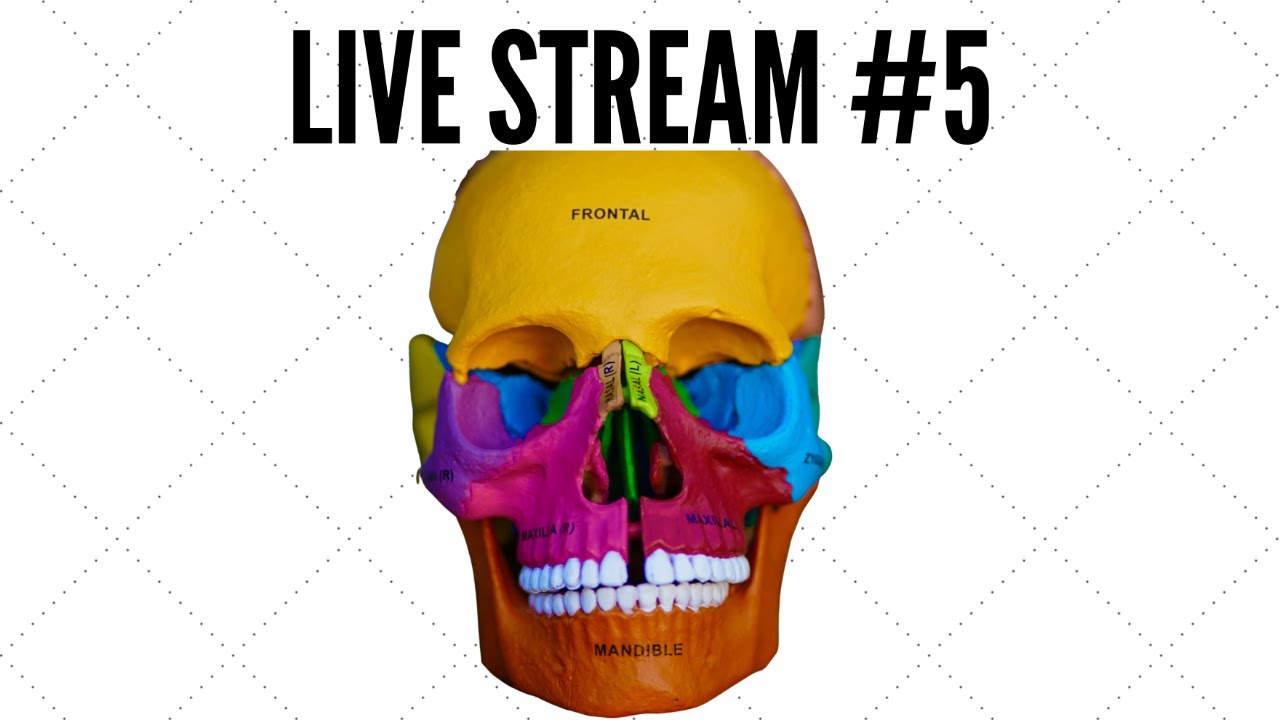 The ULTIMATE Jaw Surgery / MMA JawCast! Origin of Styx | JawCast #28 Live