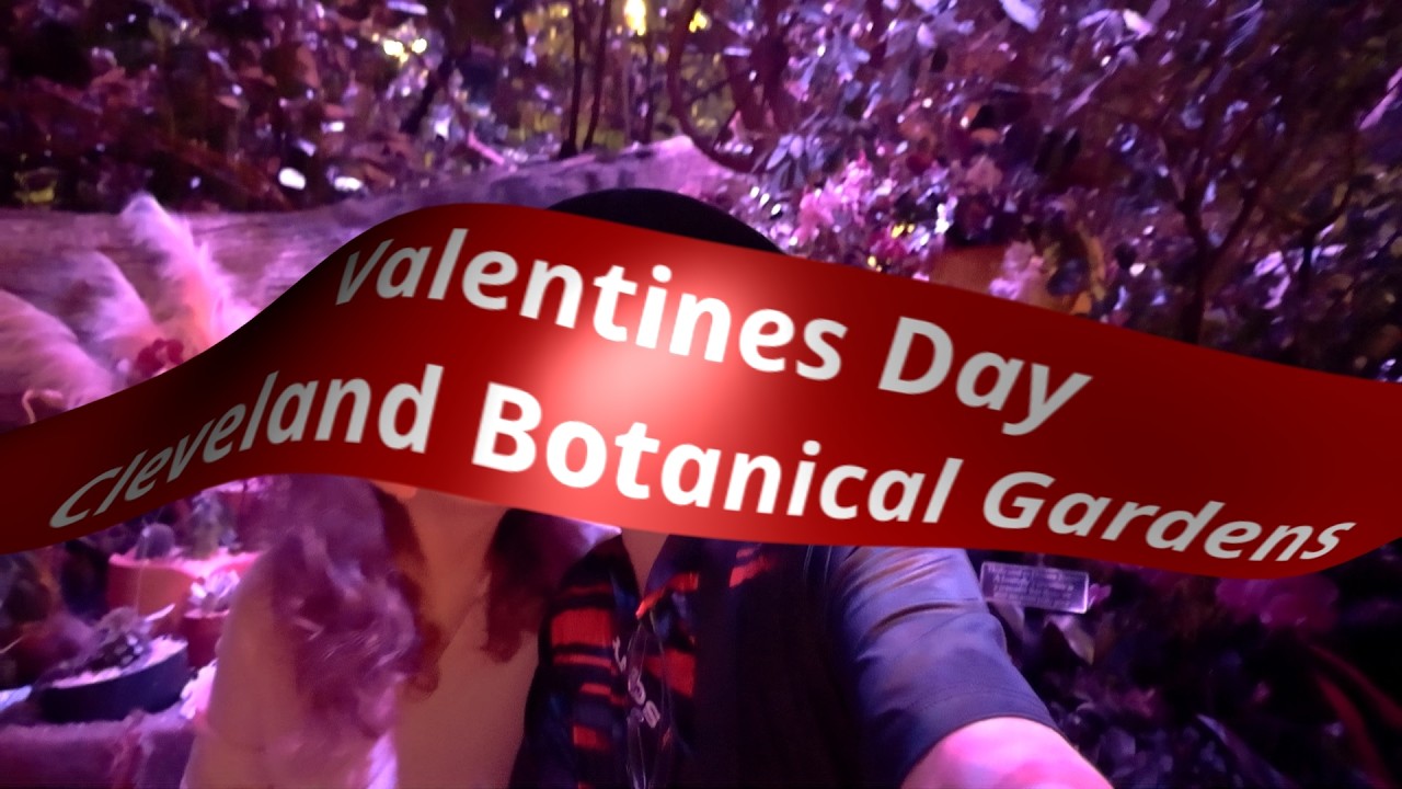 Valentines Date!!!