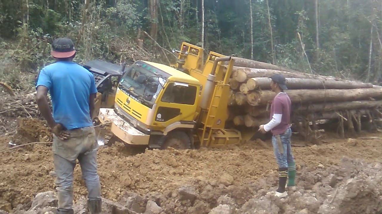 Saleha logging truck