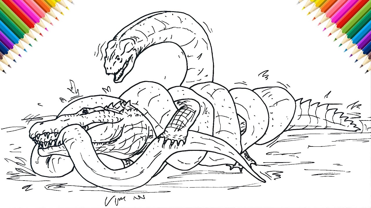 Titanoboa vs Nile Crocodile How to Draw