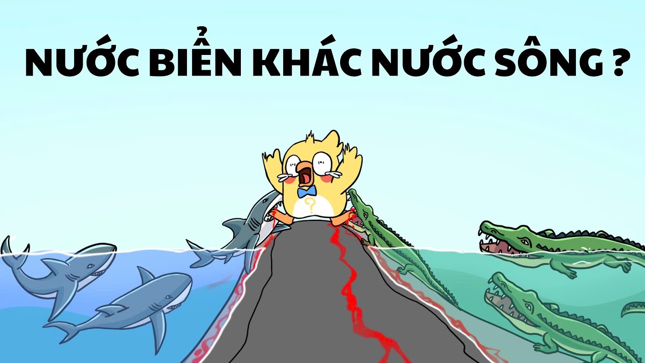 V&igrave; sao C&Aacute; NƯỚC NGỌT KH&Ocirc;NG SỐNG ĐƯỢC Ở BIỂN?