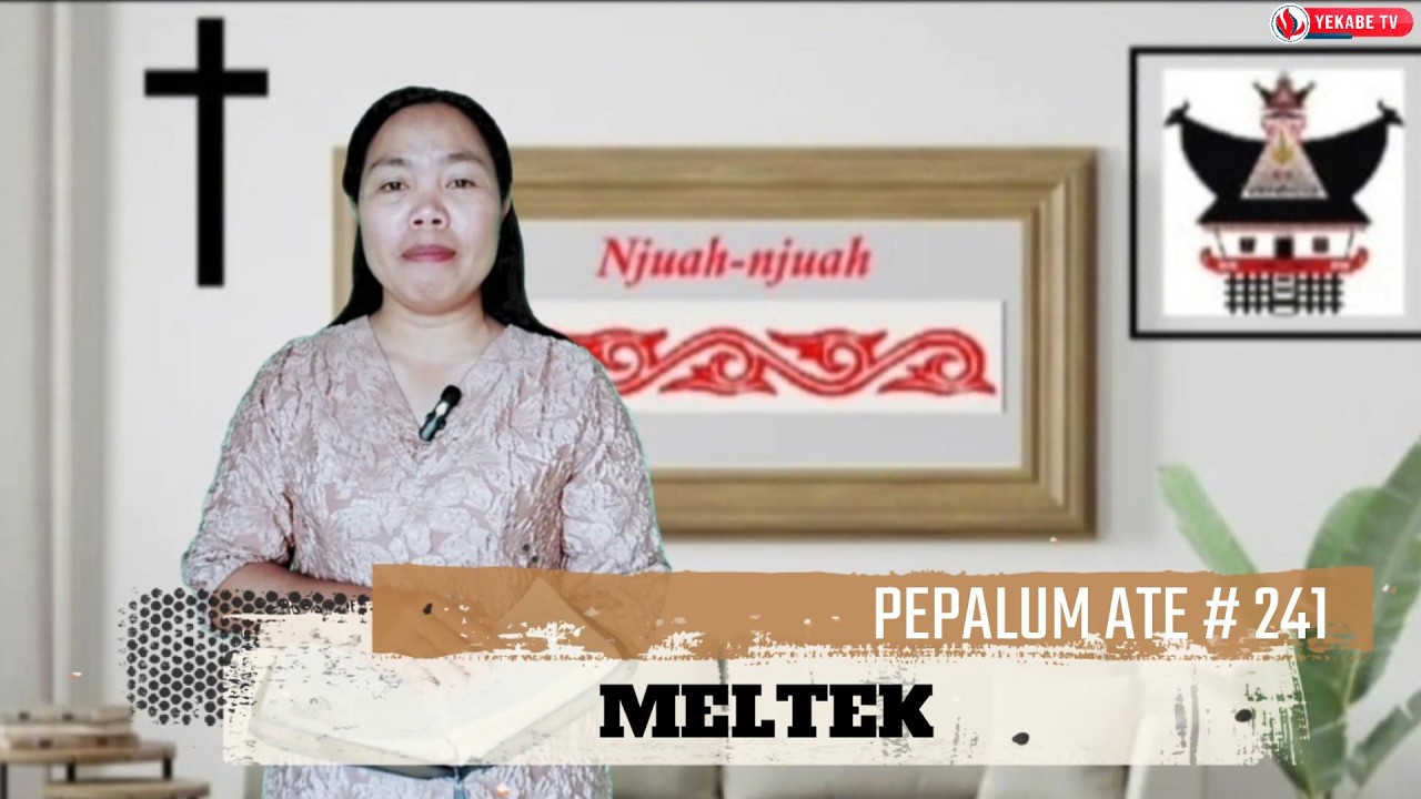 PEPALUM ATE 241 - MELTEK