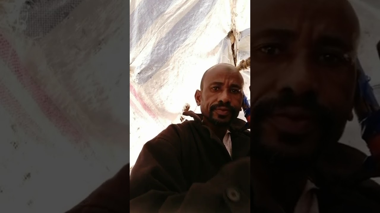 ٢١ نوفمبر، ٢٠٢٢