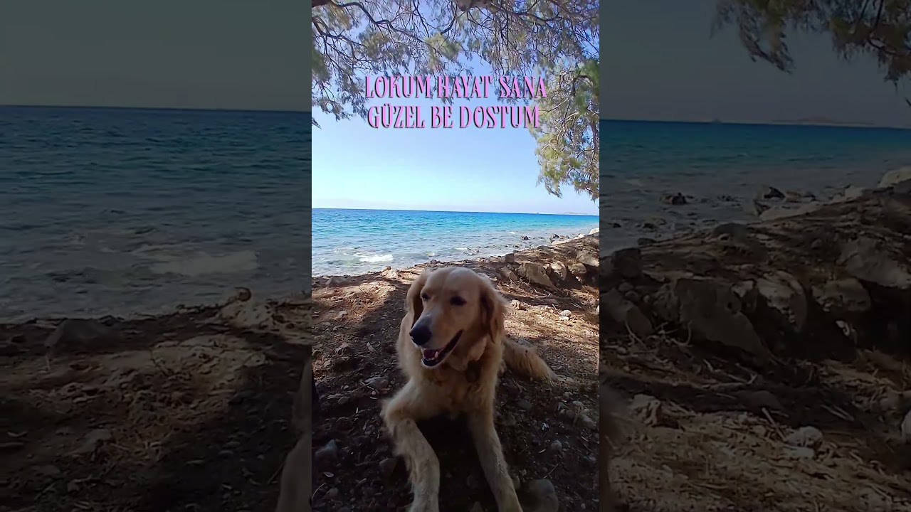 DEĞİRMENBÜKÜ SAHİLİ DATÇA DOĞASI 