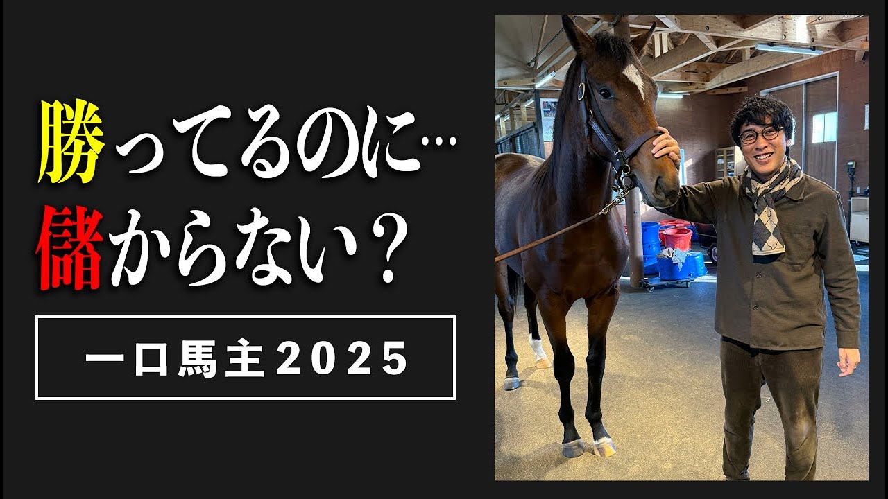 【2025年総括】勝ってるのに儲からない。一口馬主の成績を全部振り返ります